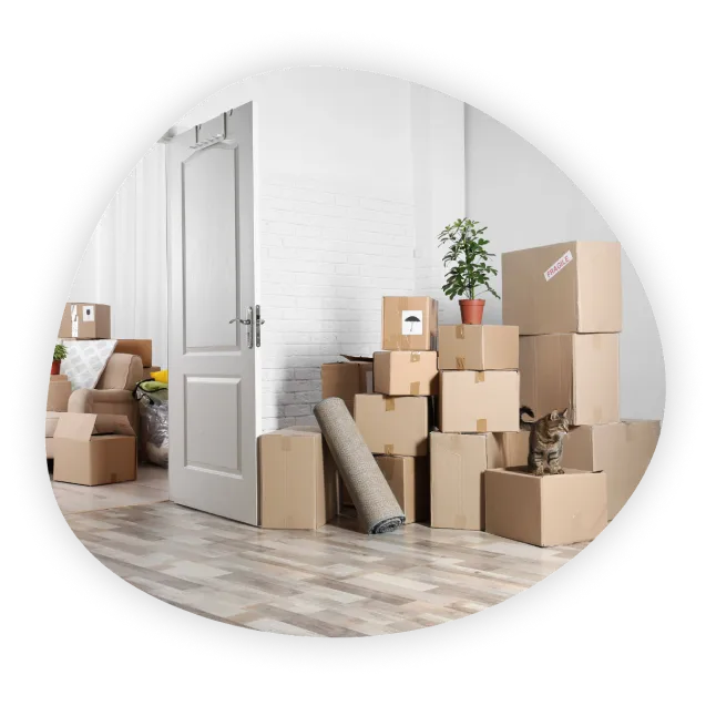 Склад Мобиус Логистика — аренда склада и хранение вещей в индивидуальных боксах, Москва